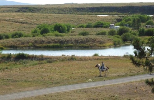 Island Park Cabaña | Cottage (3 Adults)