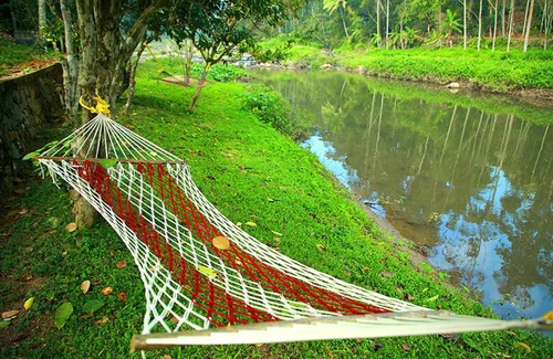Kunchithanny Complejo | Cottage Avondale, Munnar