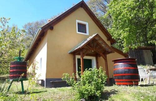 Balatonhenye Casa | Cottage by the woods
