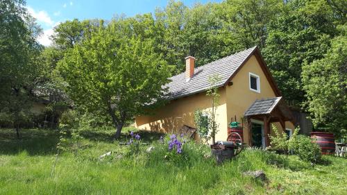 Balatonhenye Casa | Cottage by the woods