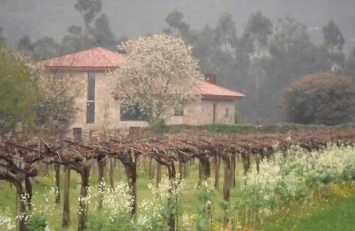 Arbo Cabina | Casa rural (alquiler íntegro) Chandaspuga para 8 personas