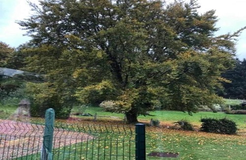 Arimont Cabaña | Retiro en una granja en Baugnez