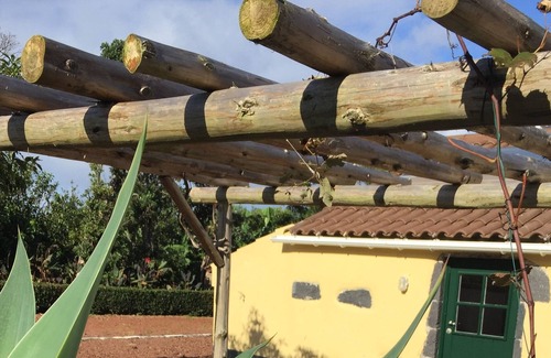 Fenais da Luz Otro | Casa de campo en propiedad con plantación de piña, 4ha de tierra y vistas al mar