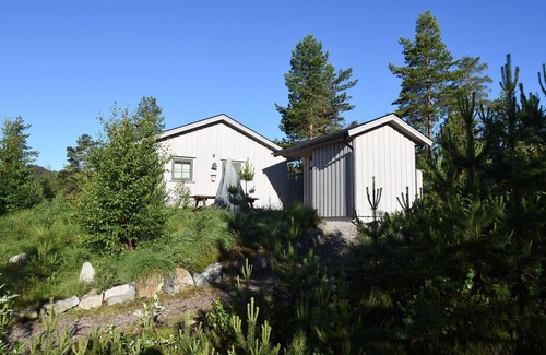 Nissedal Casa | Exclusivo 50 m² - todo incluido! Pequeña pero perfectamente formada. Naturaleza en estado puro.