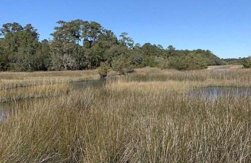 Johns Island Cabaña | Cottage in the Trees