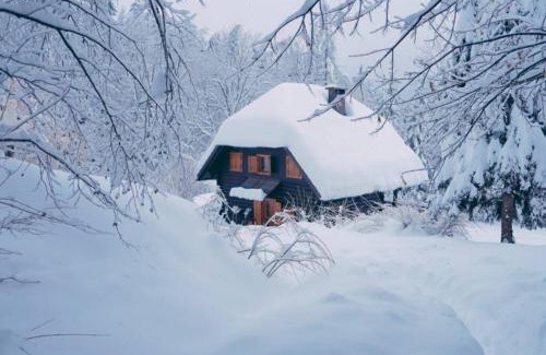Bohinjska Bistrica Casa | Cottage in the woods - Lake Bohinj