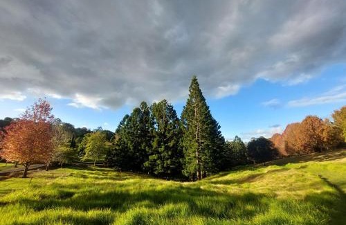 Maleny Casa | Cottage in The Woods, Maleny