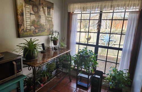 Millington Cabaña | Cottage in the Woods, Safe area, on 6 acres, Free Parking.