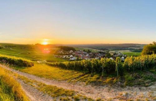Prouilly Casa | Cottage, Lodge & Spa