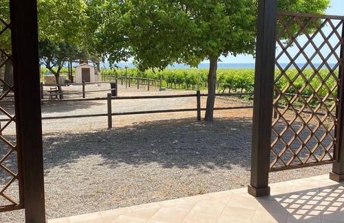 Ciro Marina Casa | cottage nestled in a vineyard on the sea
