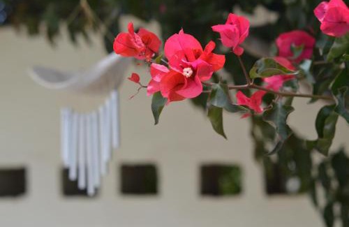 Vineta Apartamento | Cottage on Diamond Street