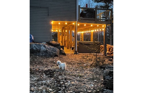 Seguin Cabaña | Cottage on Lake Jo near Mactier.