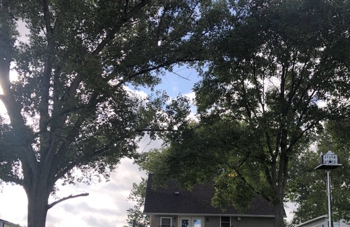 Redfield Cabina | Cottage on The Lake