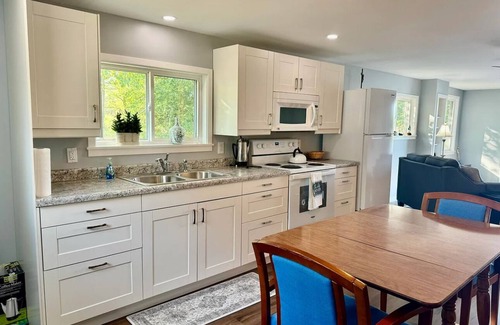 Mio Cabaña | Cottage right on the AuSable River in charming Mio