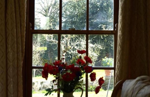 Ryton Cabaña | Cottage - Sleeps 2 - Garden - Parking