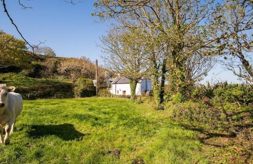 Skibbereen Cabaña | Cottage- Traharta House and Cottage