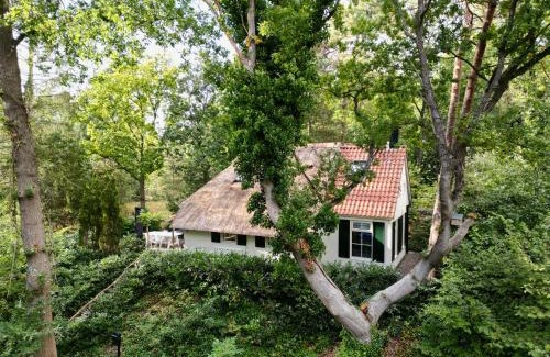 IJhorst Casa | Cottage Uylenhorst, De Witte Bergen 34