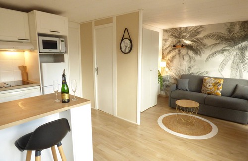 Leon Chalet De Esquí | COTTAGE VUE LAC - Nature Village, Swimming pools, Sports and 2 bikes, near Beach