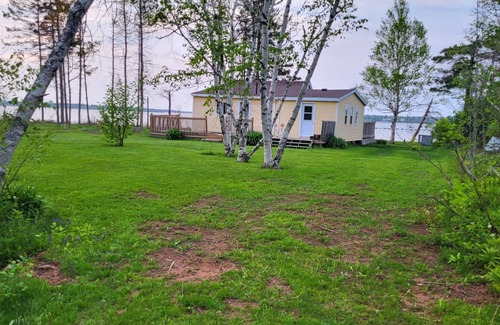 Tyne Valley Cabina | Cottage with Water view
