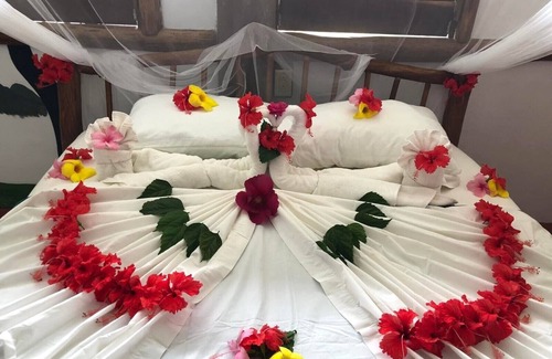 Punta Gorda Cabina | Cotton Tree Lodge