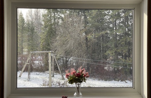 Grey Highlands Casa | Country Comfort with 8 Acre Private Garden