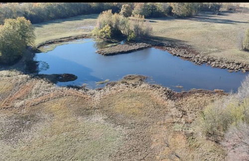 Swink Cabaña | Country Cottage on 50 Acre Farm. Fishing, farm animals, tranquillity!