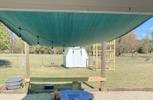 Swink Cabaña | Country Cottage on 50 Acre Farm. Fishing, farm animals, tranquillity!