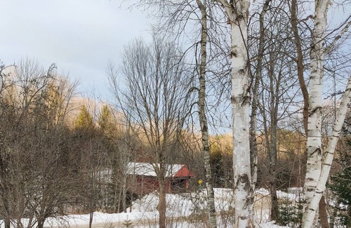 Morrisville Cabaña | Country Cottage with Deck, Sunroom/Patio, W/D, & Free WiFi - Dog-Friendly