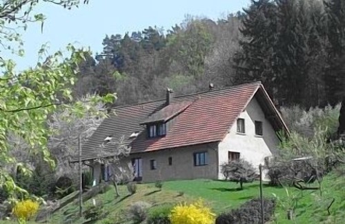 Neuve-Eglise Casa | Casa rural, centro de Alsacia, cerca de viñedo, entre Colmar y Estrasburgo, wifi