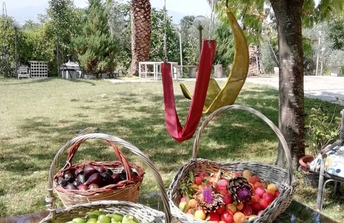 Monsampolo del Tronto Casa | casa de campo en el verde de la vegetación mediterránea