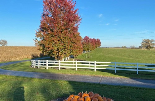 Darlington Casa | Country home near the ATV Trail in Lafayette County
