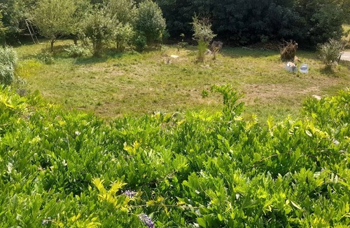 Murat-sur-Vebre Casa | Country house "Au pied du Puech". Large plot, terrace and space!