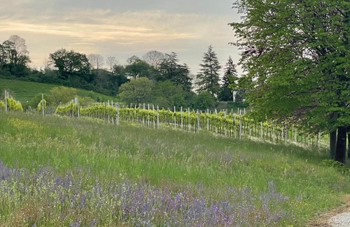 Susegana Cabina | Country House Accommodation on Dreamway Path - Colfosco di Susegana TV, Veneto, Italy