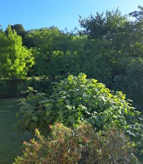 Rovolon Casa | Country House Bucaneve
