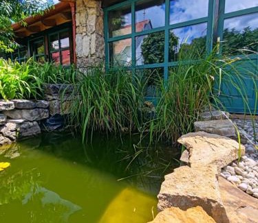 Vaszoly Chalet De Esquí | Country house by the creek