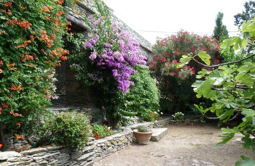 Morsiglia Casa | Country house for rent Morsiglia Cap Corse sleeps 10