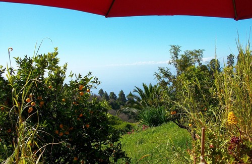 Puntagorda Casa | CASA DE CAMPO EN FINCA ORGÁNICA DE NARANJA, 40. 000m2, gr. TERRAZA, momentos mágicos!