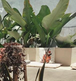 Santa Catalina Casa | Country house