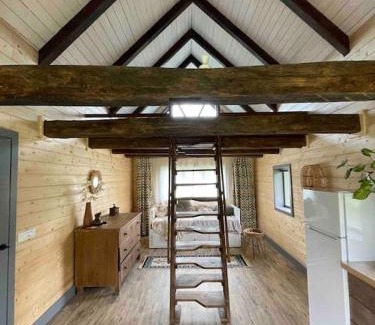 Vadu Crisului Chalet De Esquí | Country House