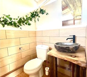 Vadu Crisului Chalet De Esquí | Country House
