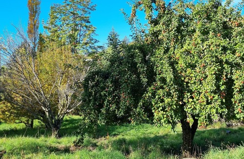 Luis Soto Cabina | Casa de campo, rodeada de naturaleza, ideal para la familia.