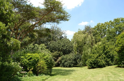 Greater Johannesburg Metropolitan Area Cabaña | Vida en el campo: a 5 minutos del distrito financiero de Sandton