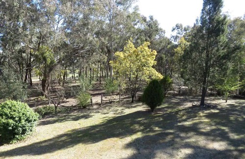 Hargraves Casa | Country property on 10 acres at a quiet village of Hargraves (pet friendly)