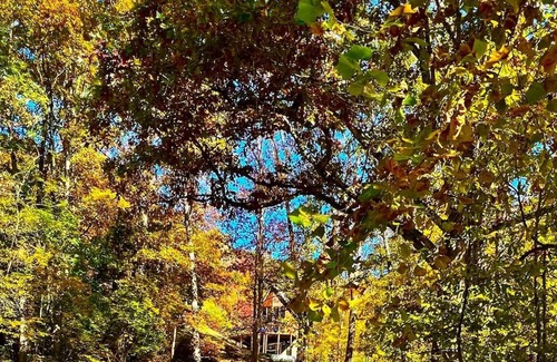 Clear Creek Casa | Country Roads Retreat *A-Frame Cabin*
