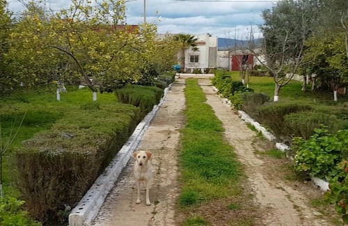 Ouislane Villa | Villa de campo a 10 minutos del centro