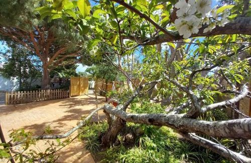 Los Franceses-la Vega Casa | Countryside villa & private Covered Pool