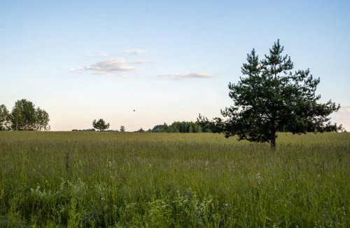 Torva Otro | Countryside tent near Tõrva