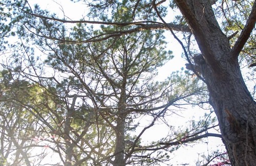 Sullivan Casa | Farm glamping getaway
