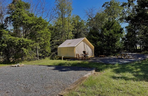 Marshall Alquiler De RV | Couples Glamping Tent Near the Buffalo River