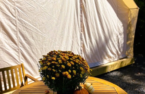 Marshall Alquiler De RV | Couples Glamping Tent Near the Buffalo River